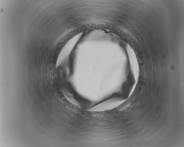 X0000071810870200607282350