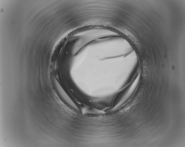 X0000071810880200607282350