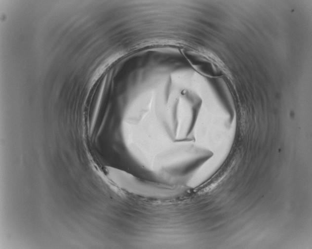 X0000071810898200607282349