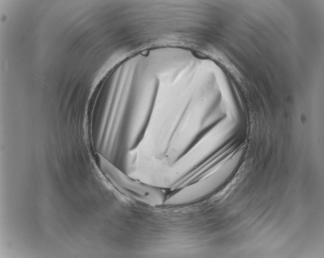 X0000071810902200607282349