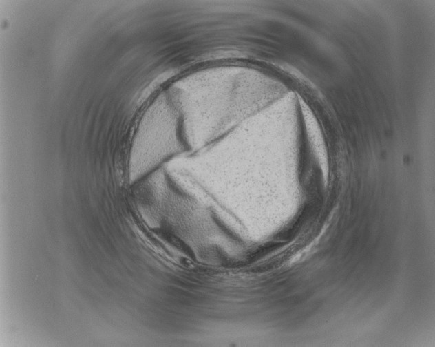 X0000071810929200607282349