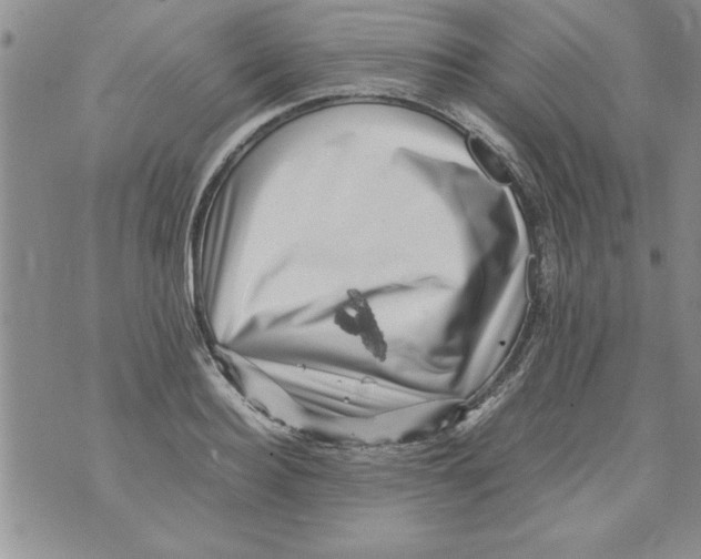 X0000071810940200607282349