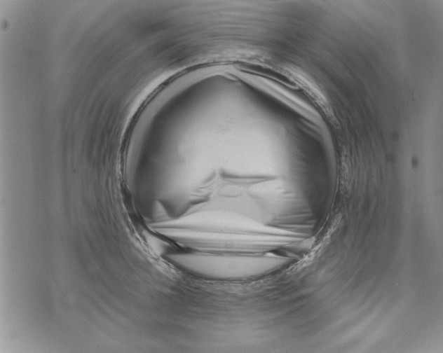 X0000071810948200607282349