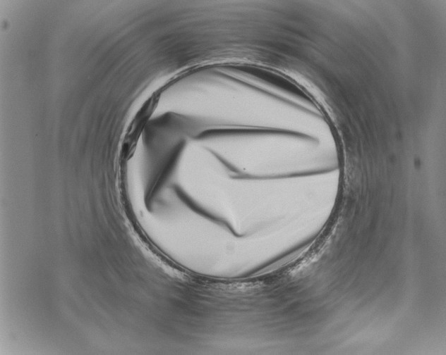 X0000071810949200607282349