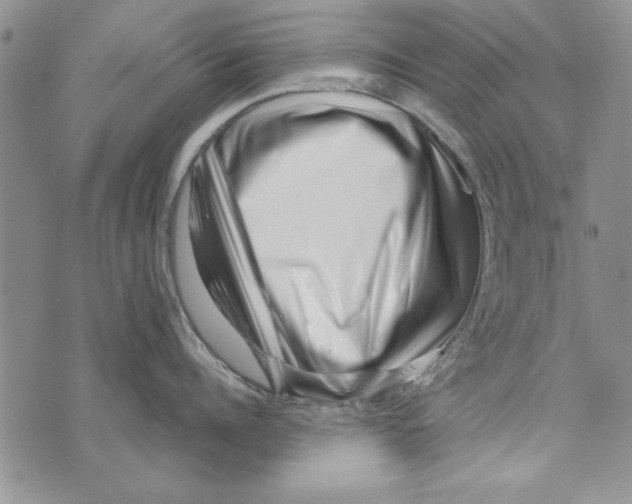 X0000071810960200607282349