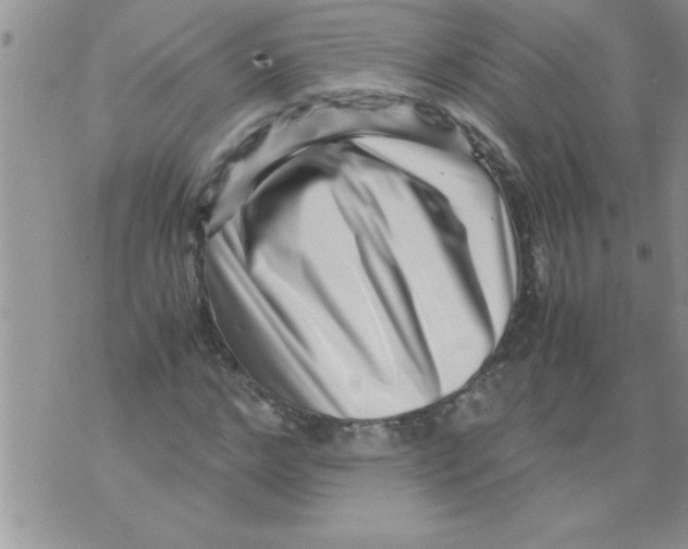 X0000071810968200607282348