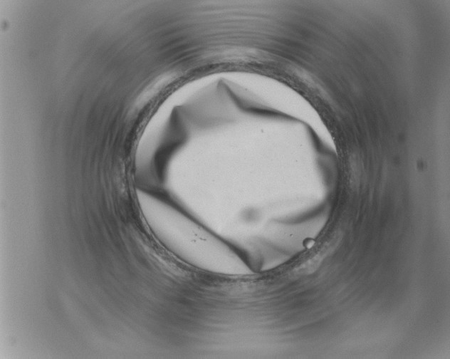X0000071810970200607282348