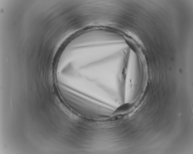 X0000071810976200607282348