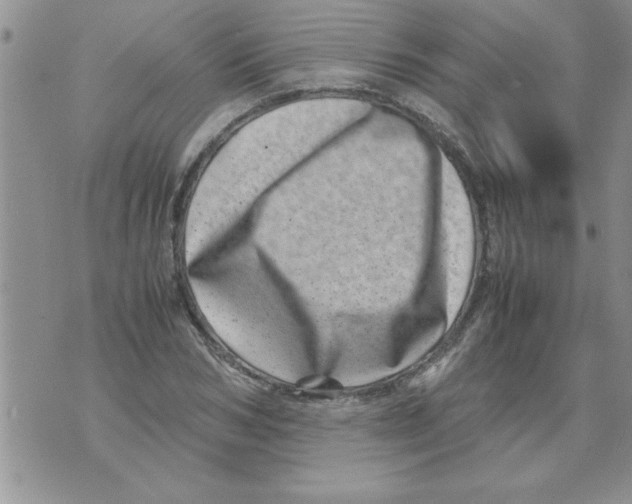 X0000071810978200607282348