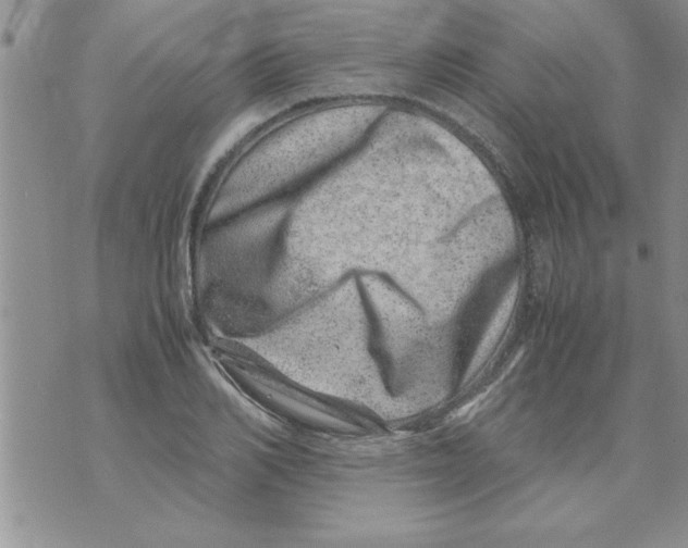 X0000071810982200607282348