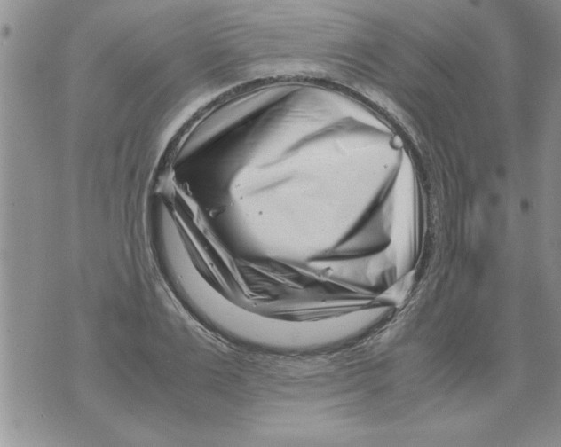 X0000071810983200607282348