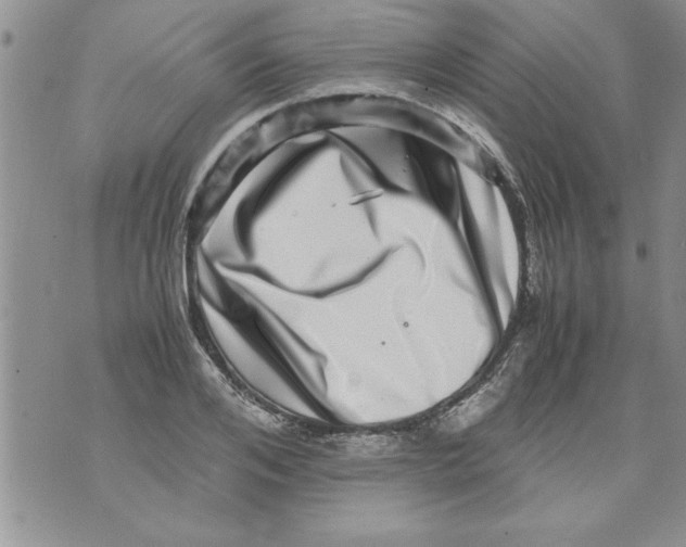 X0000071810984200607282348