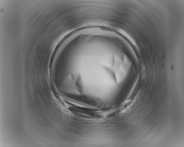 X0000071810996200607282348