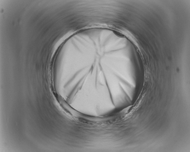 X0000071811003200607282348