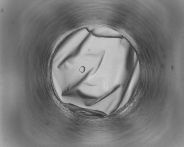 X0000071811004200607282348