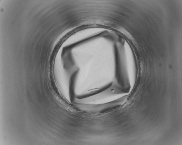 X0000071811020200607282347
