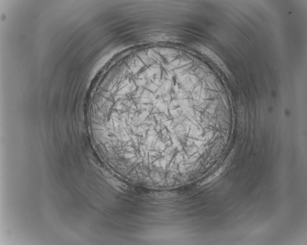 X0000071811023200607282347