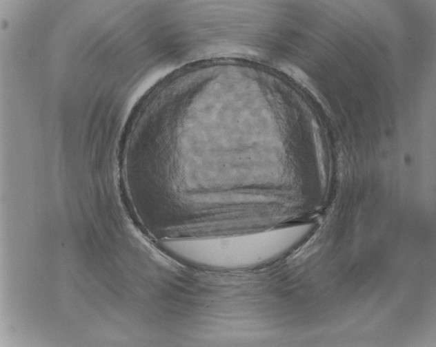 X0000071811024200607282347