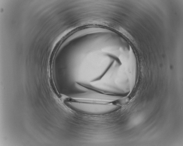 X0000071811028200607282347