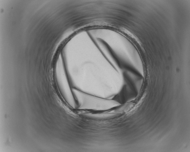 X0000071811029200607282347