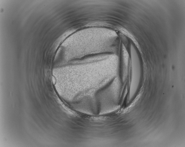 X0000071811041200607282347