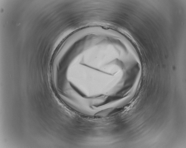 X0000071811048200607282348