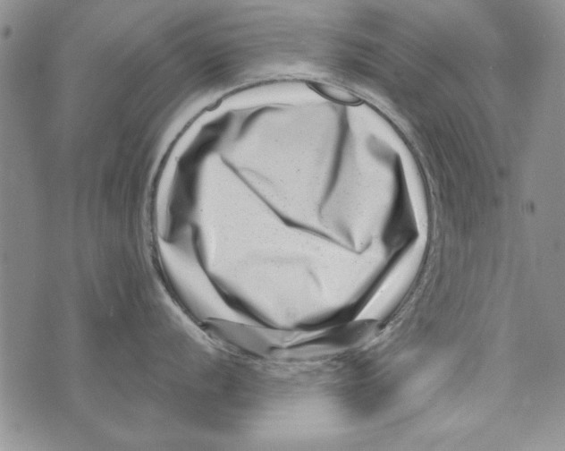 X0000071811056200607282348