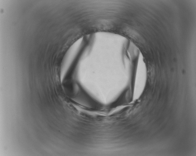 X0000071811058200607282347