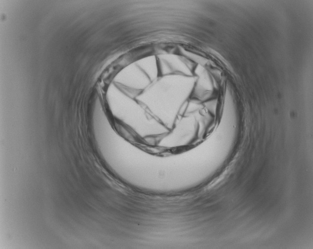 X0000071811065200607282347