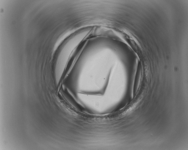 X0000071811069200607282347