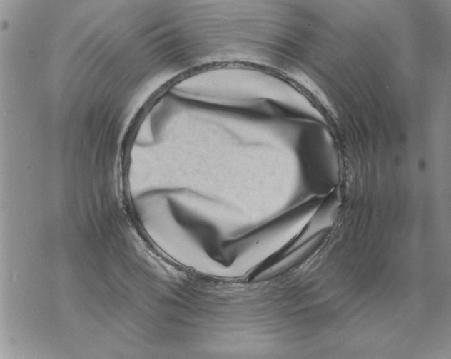 X0000071811076200607282347