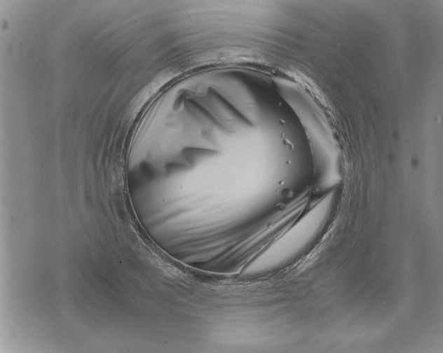 X0000071811081200607282346