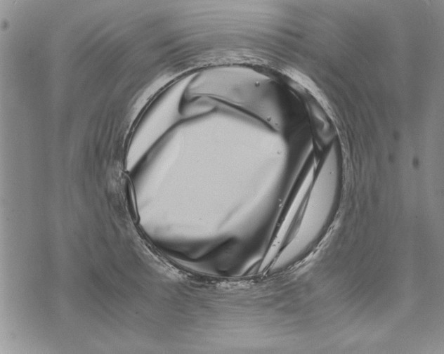 X0000071811089200607282346