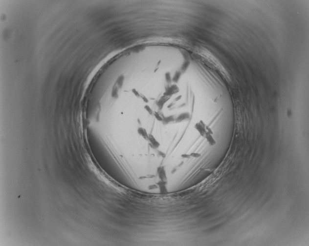 X0000071811092200607282346
