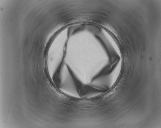 X0000071811119200607282346