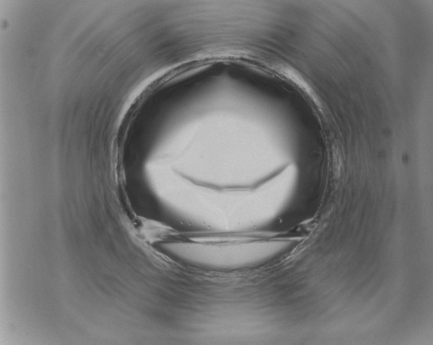 X0000071811124200607282346