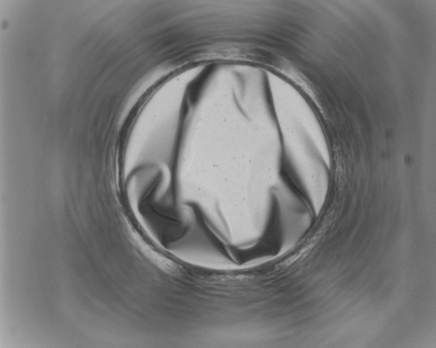 X0000071811131200607282346
