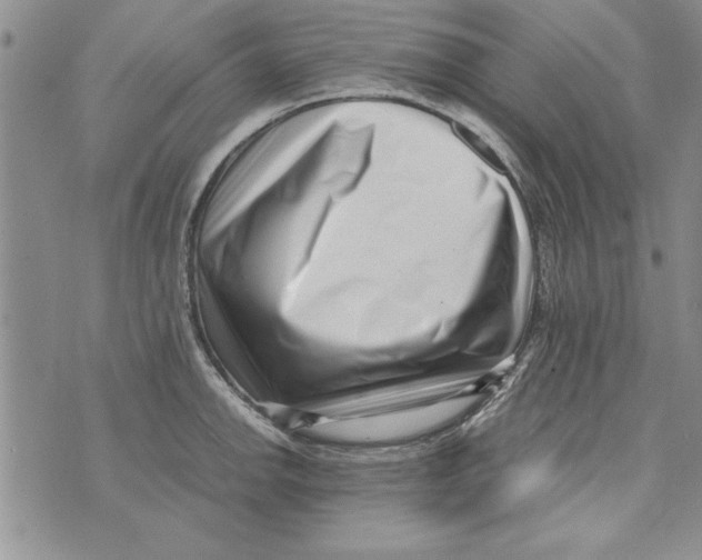 X0000071811142200607282346