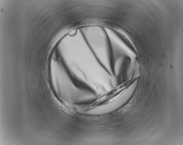 X0000071811147200607282346