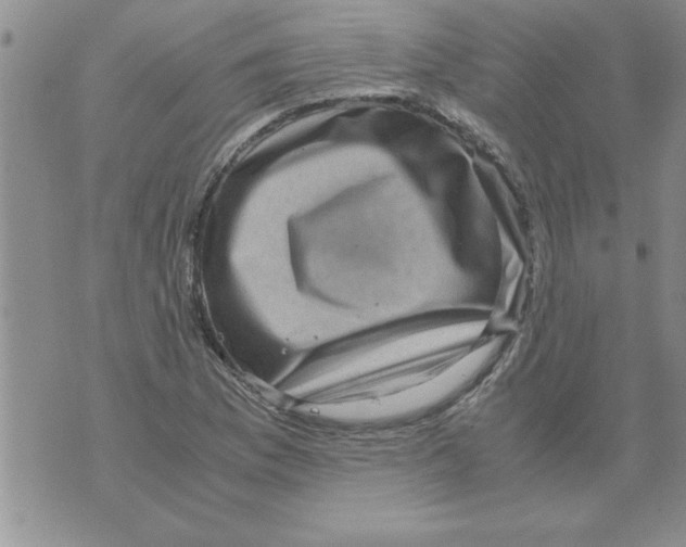 X0000071811169200607282345