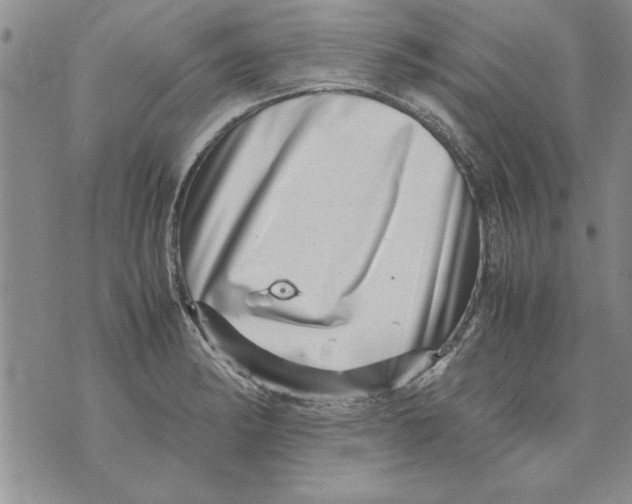 X0000071811182200607282345