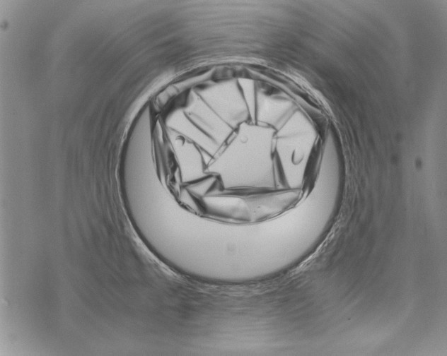 X0000071811189200607282345