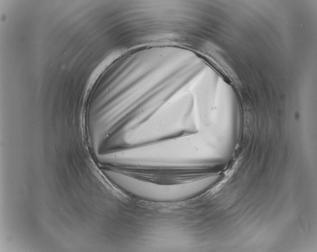 X0000071811196200607282345
