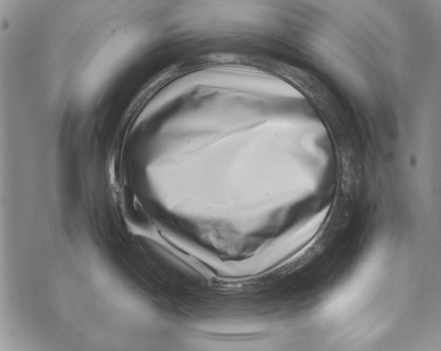 X0000071811198200607282345