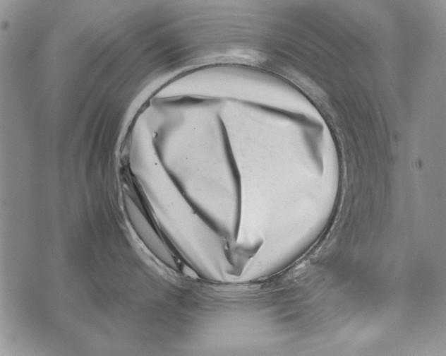 X0000071811200200607282345
