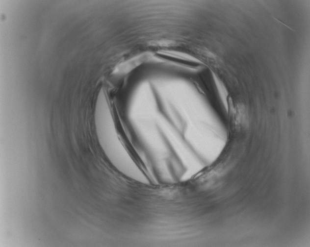 X0000071811202200607282344