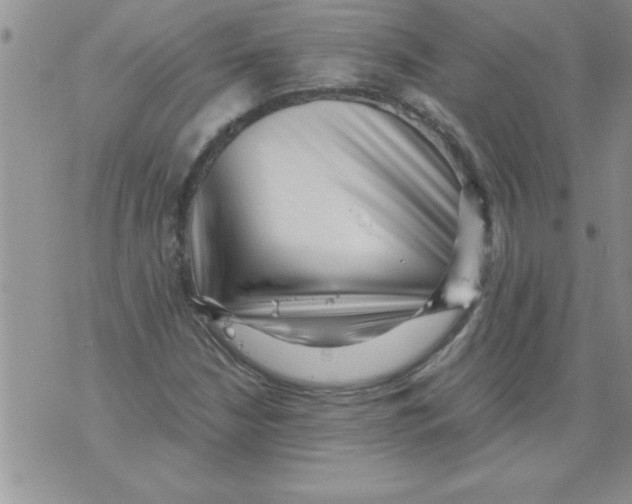 X0000071811210200607282344