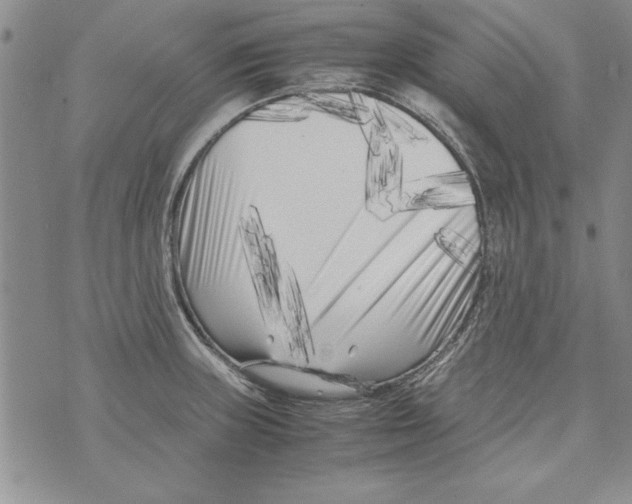 X0000071811235200607282344