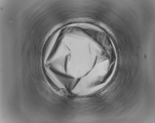 X0000071811237200607282344