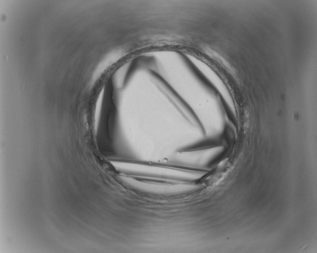 X0000071811261200607282344